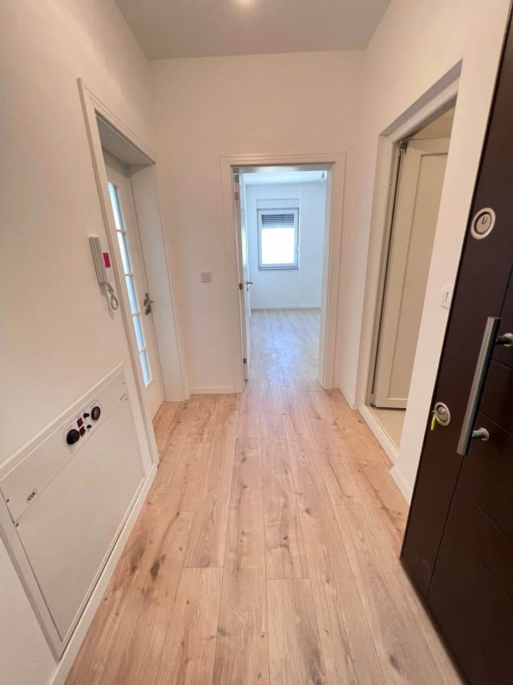 531012006 2291061781312406 1265571051761870466 n