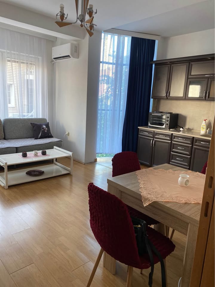 537994474 804266465283566 1153422075549405152 n