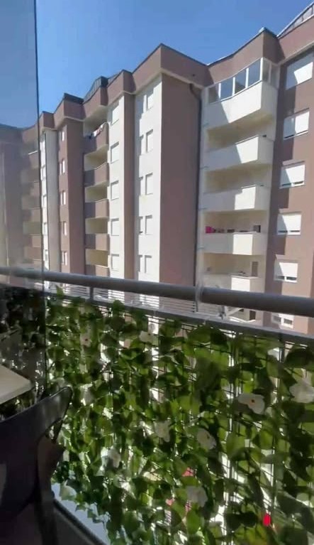 540374892 30746398245003860 2349119087880217400 n