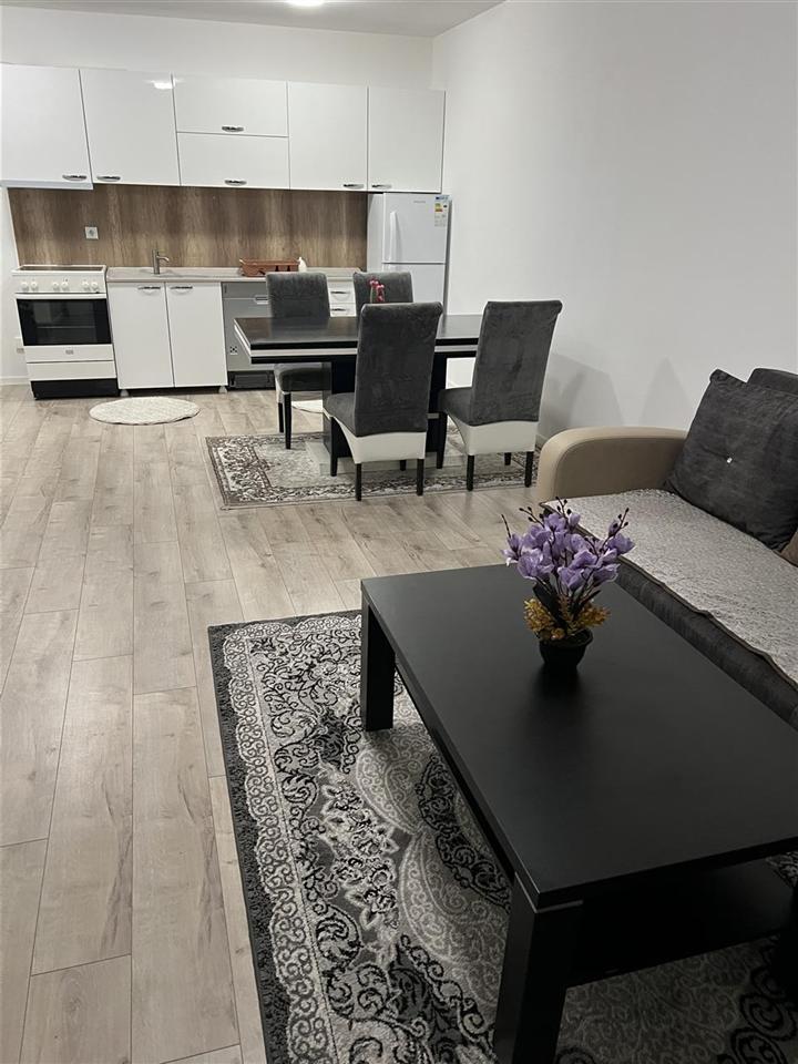 Jepet banesa me qira (4)