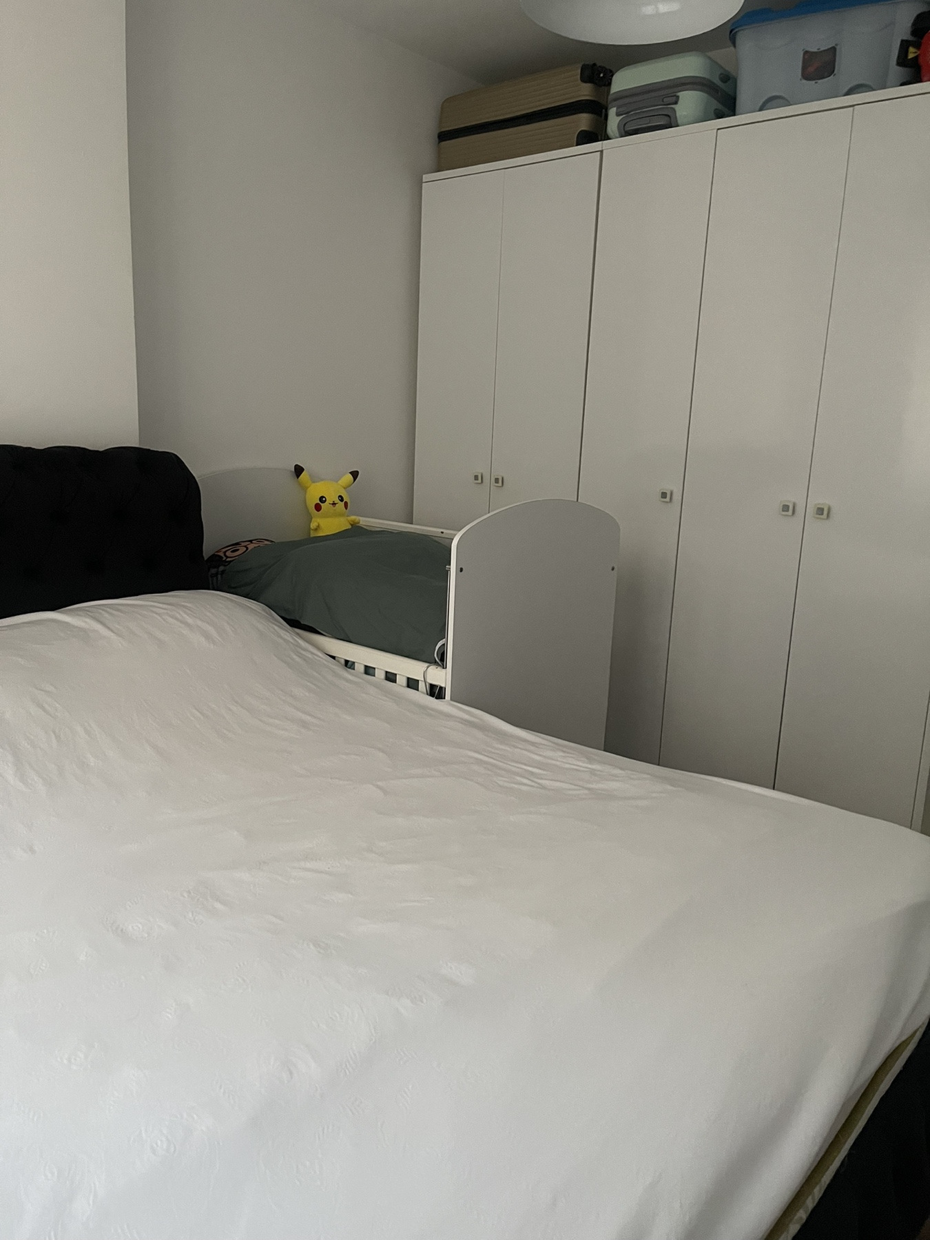 Viber image 2025 08 13 13 01 38 254