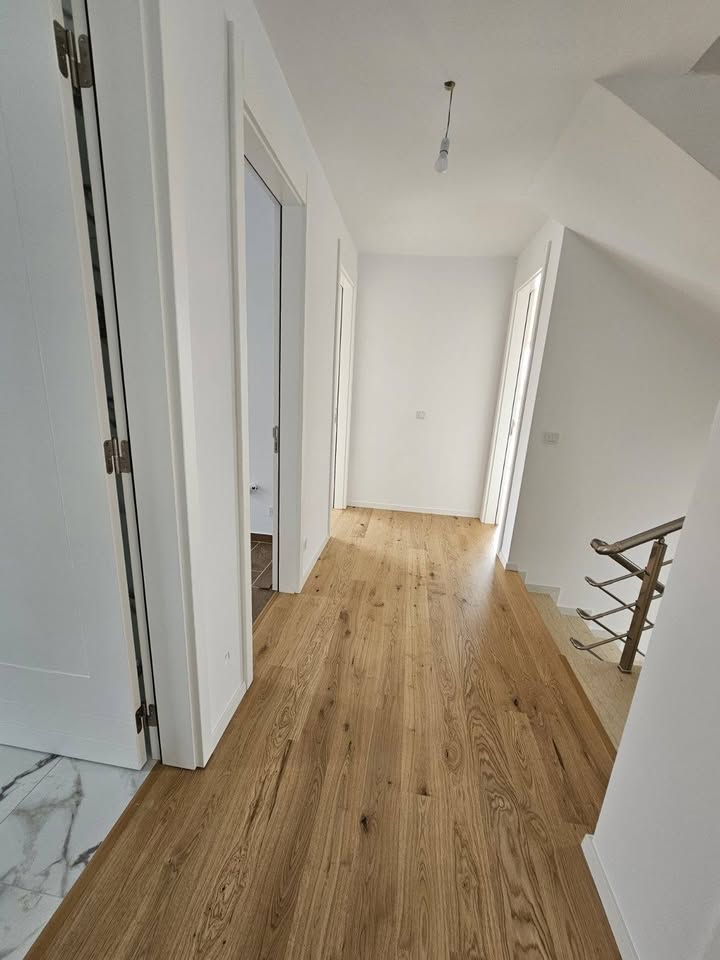 496498338 122174483084333941 2539279754482933654 n