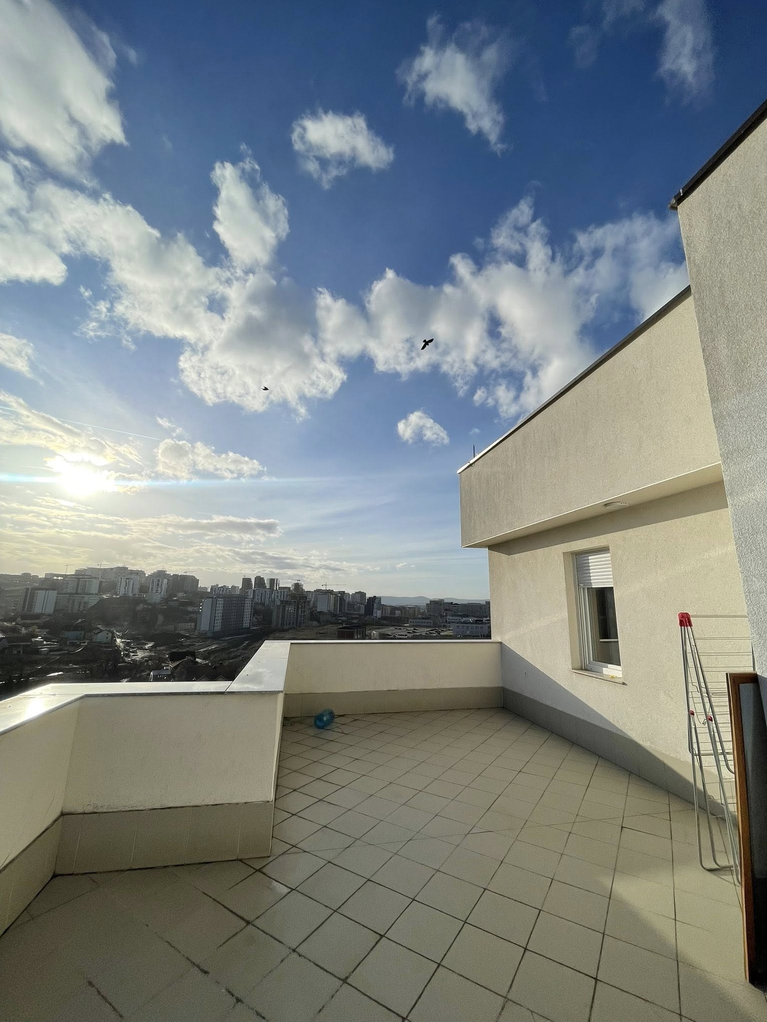 629790824 4295939153997832 6114296116612982282 n