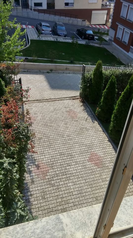 467827643 2384794391855390 3889135281420772946 n