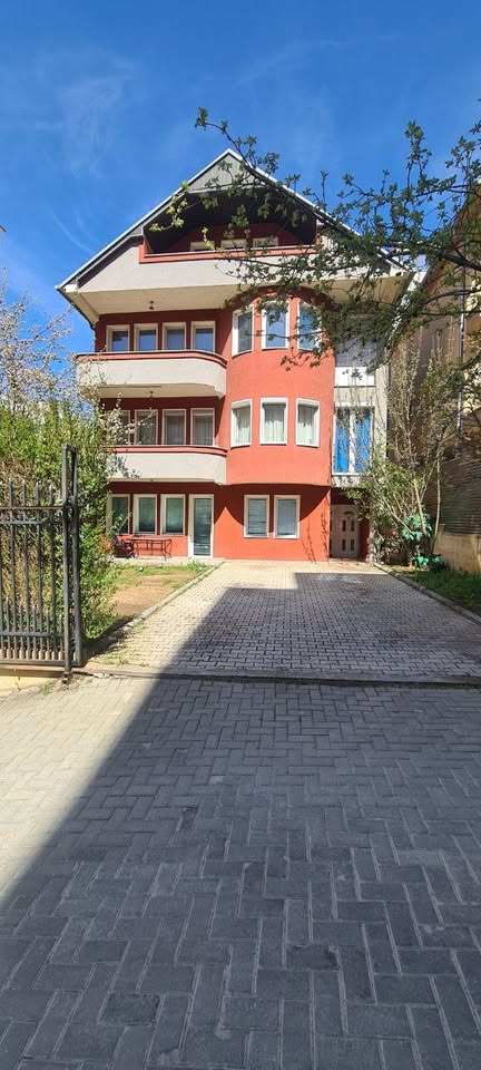 489406414 1211408513779050 8894052823315466019 n