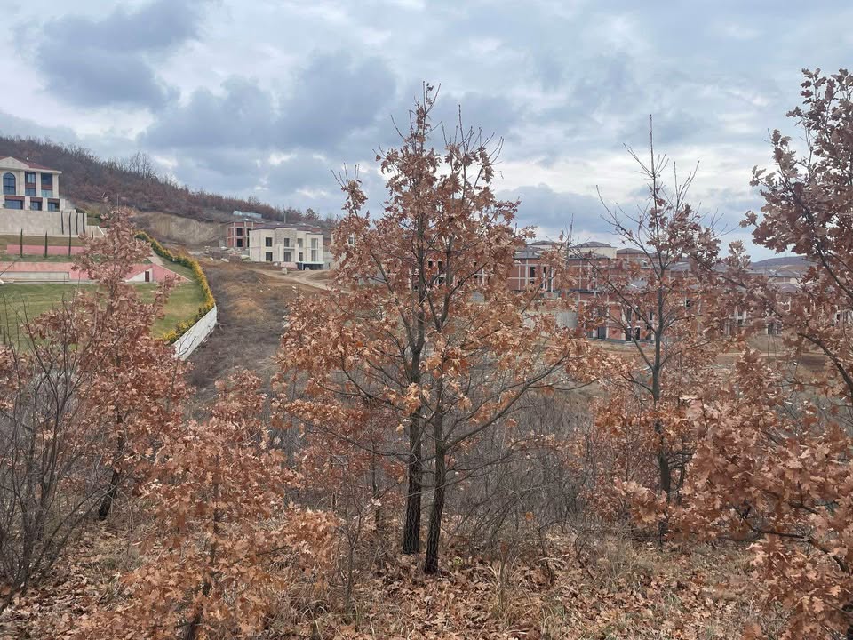 533260064 1460118858584201 983002292372027422 n