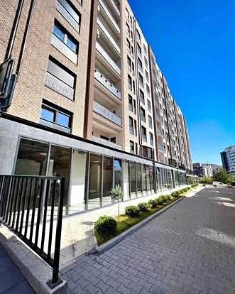 551485834 1129253292629165 5823766604543913666 n