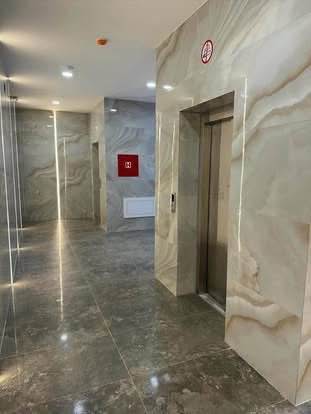 552145198 1165192995457370 7869068273114361035 n