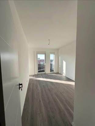 552229601 1146484630735003 7010351079539519917 n