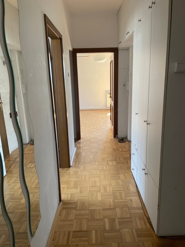 552472548 1307873260829839 5899283522126012917 n