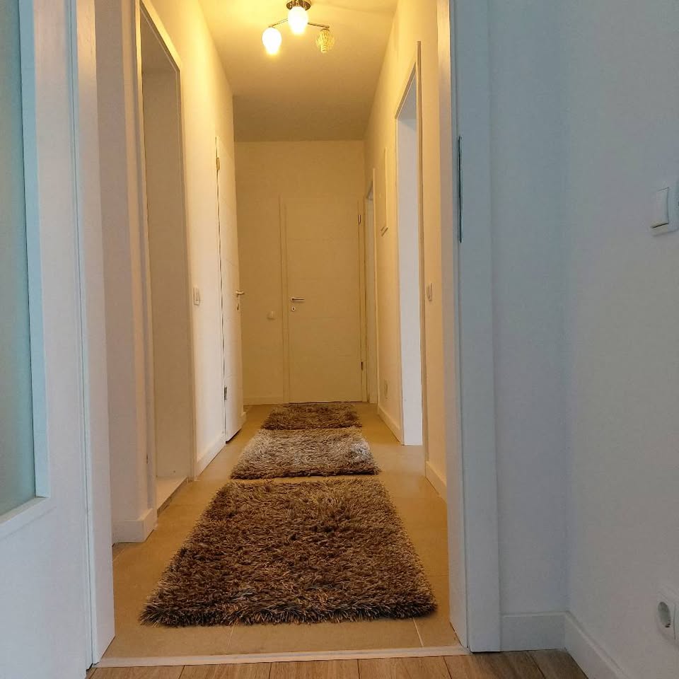 558402032 10239118167472070 6420364426645906392 n