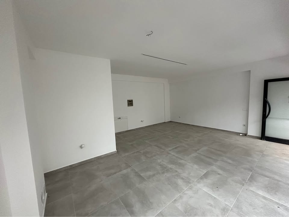 558870423 3761259734008354 6489597721575034612 n