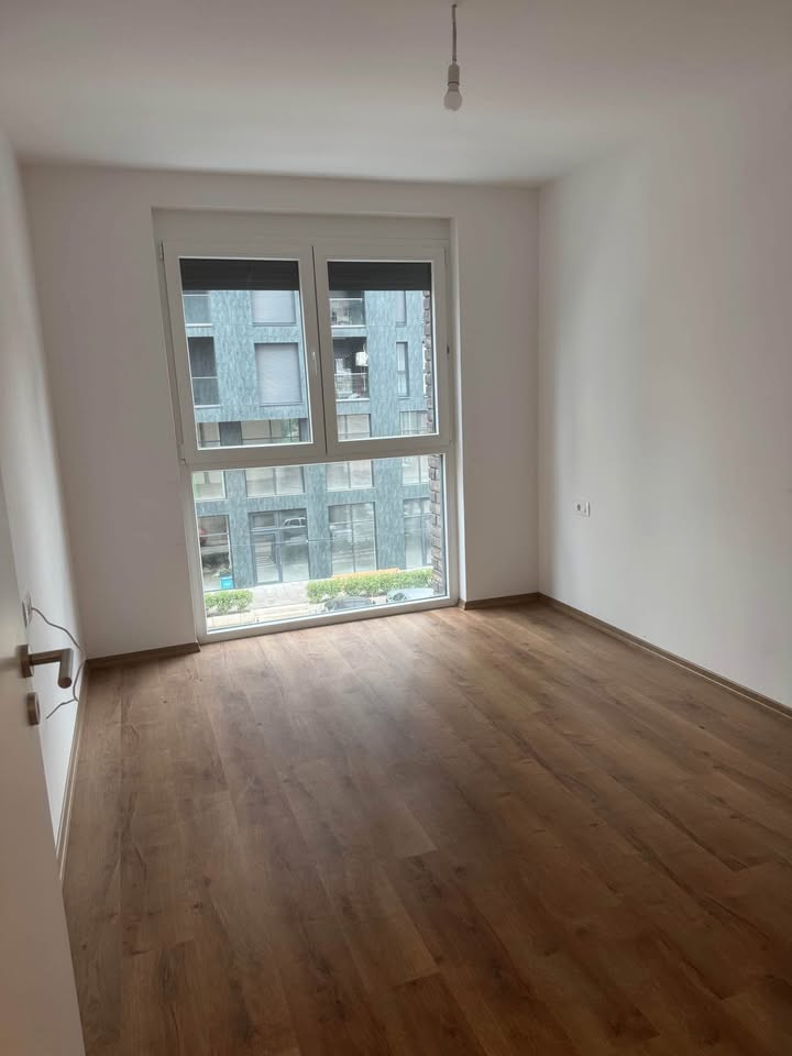 560767253 785812130880993 923149290523445781 n