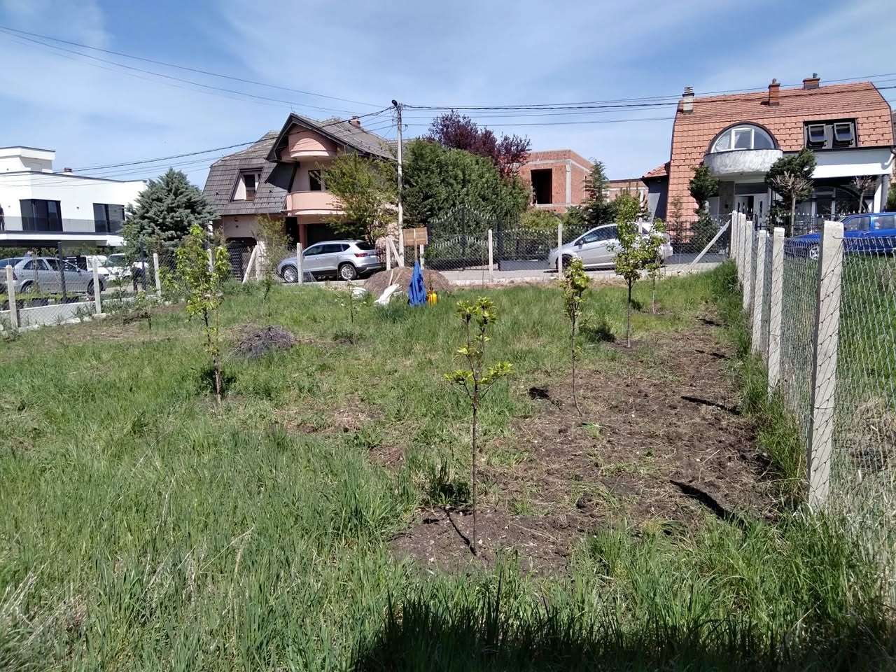 568321640 3700391016762441 1783169508214154362 n