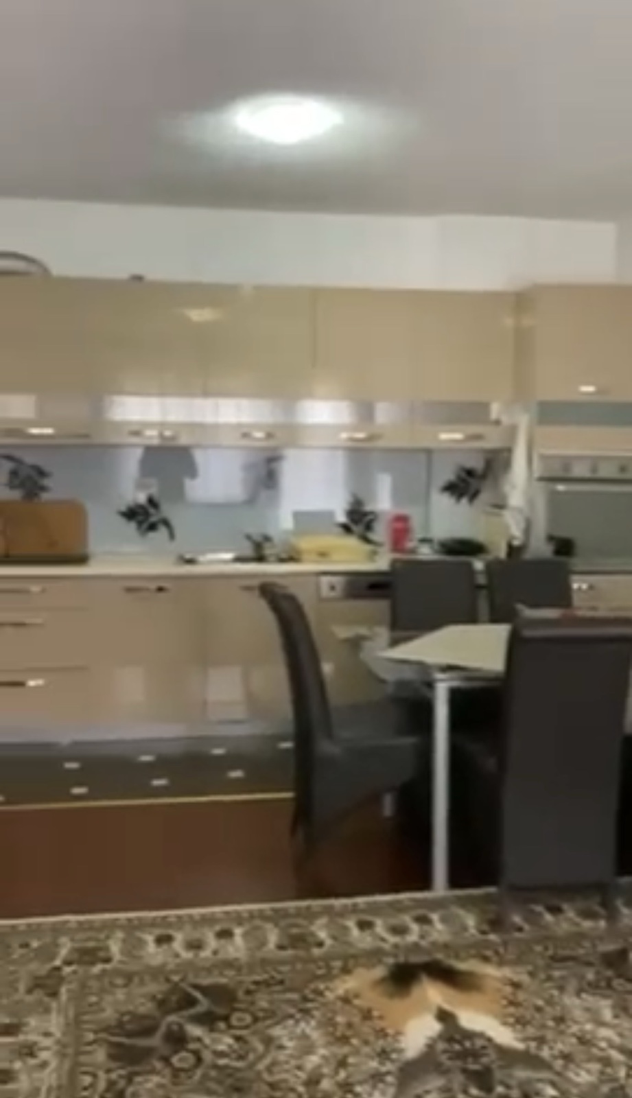 Viber image 2025 10 02 09 17 28 595