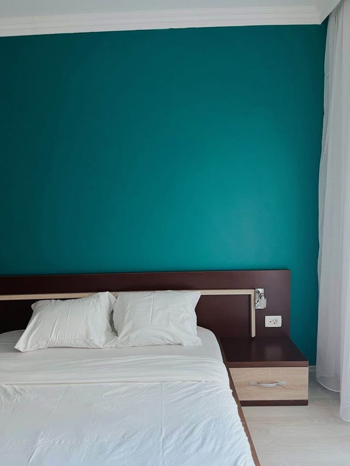 575833773 1161465366120194 3146879226014820043 n