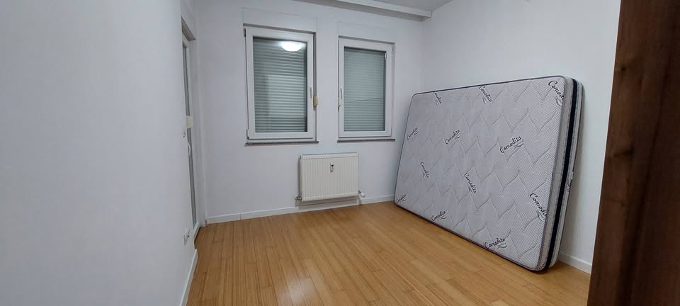 577334196 2800804370123685 2370798963215616845 n