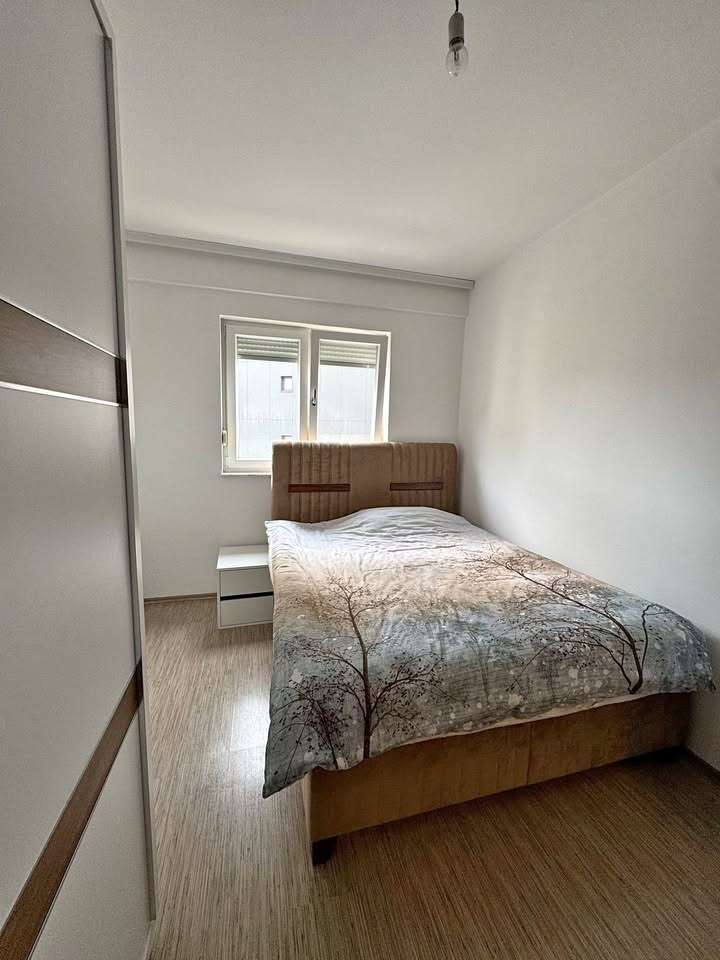 579151899 24671072165909168 77256147191122276 n