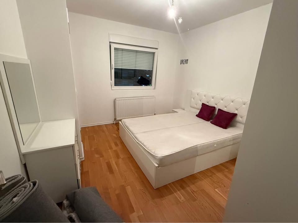 582576774 1172257537789539 1836968338334397223 n