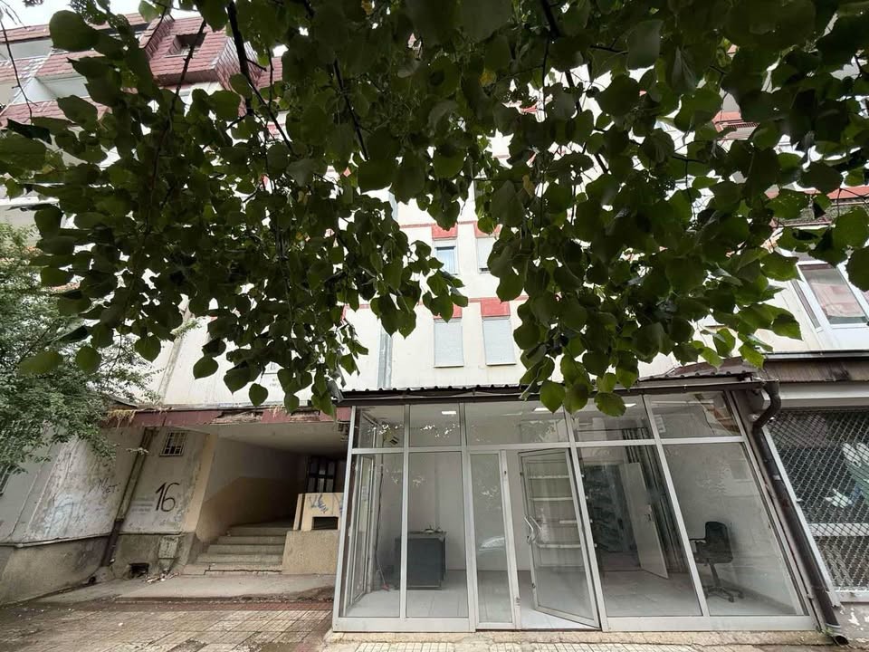 586655205 1592005818462915 2019840377177436682 n