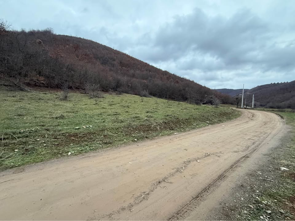 599250482 1885997648667965 3147248025431508648 n