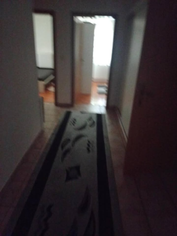 599929917 25564167043177581 6089368394736820082 n