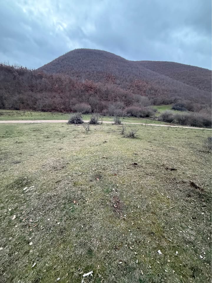 600454246 882700504451271 1075732790650193412 n