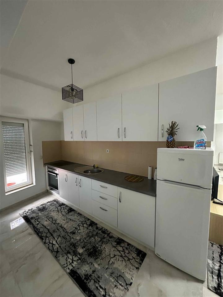 Leshohet me qera banesa te hamburger aba rruges per germi (6)