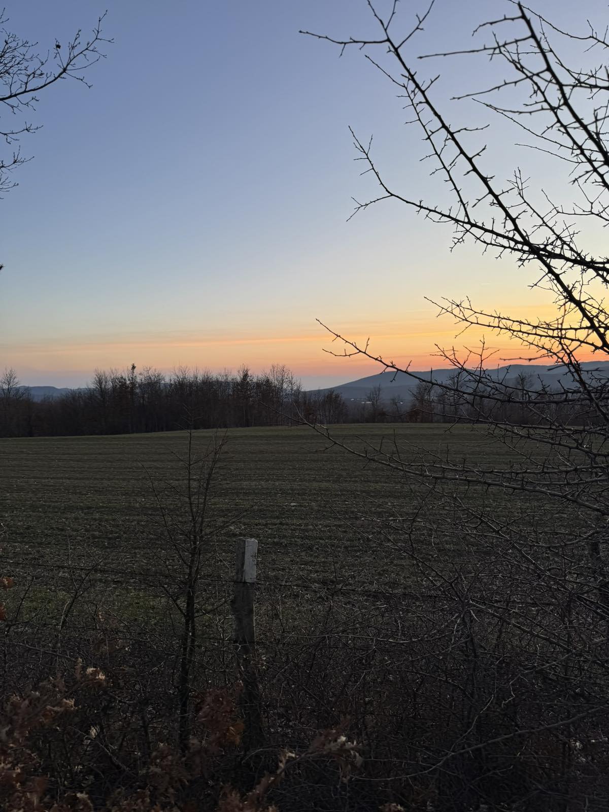 Viber image 2025 12 12 15 35 19 304