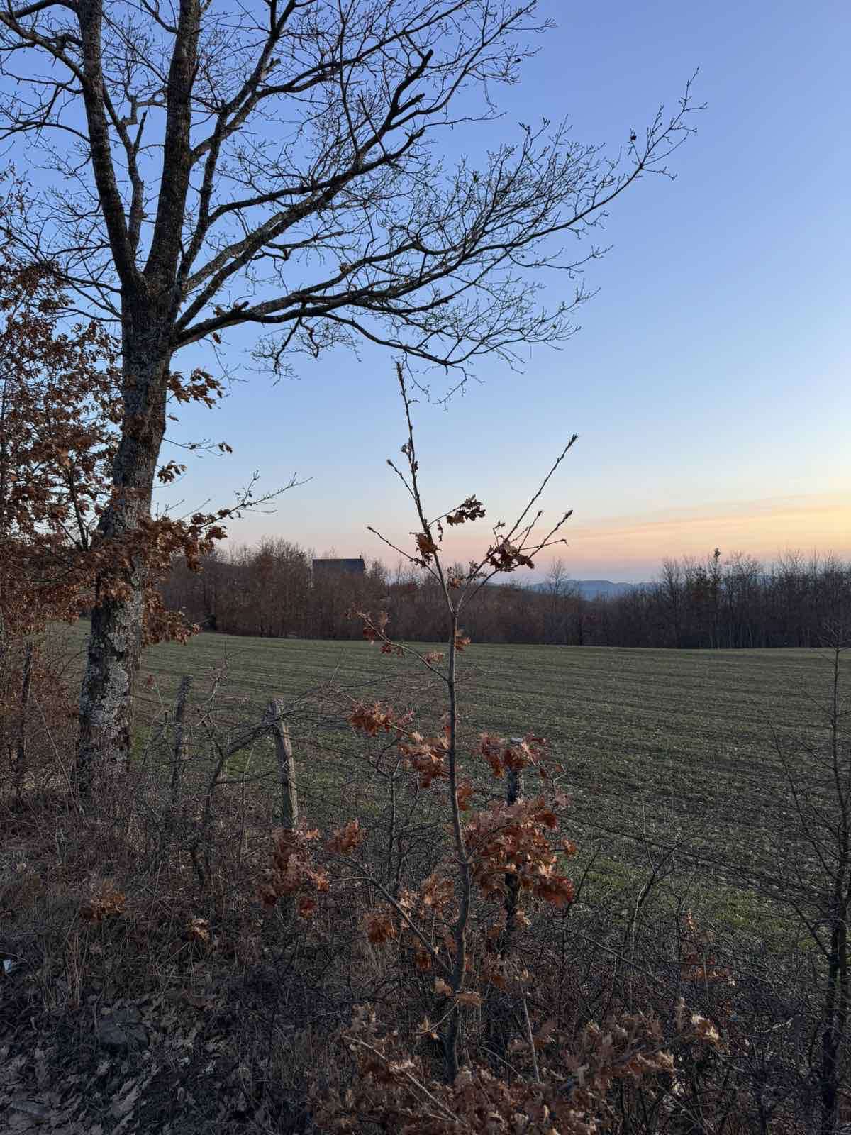 Viber image 2025 12 12 15 35 19 770