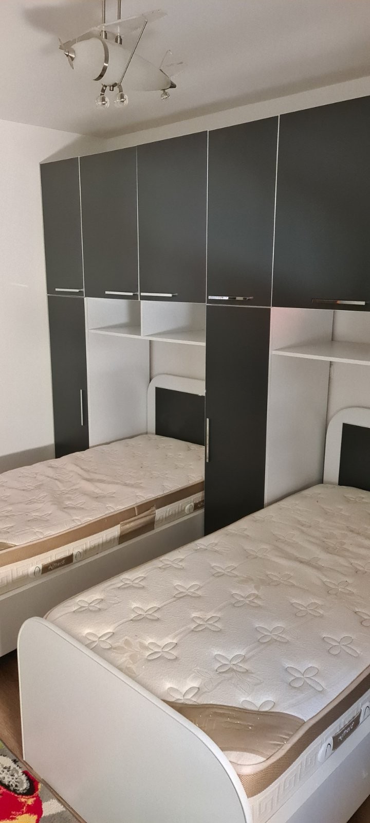 Viber image 2025 12 19 13 30 17