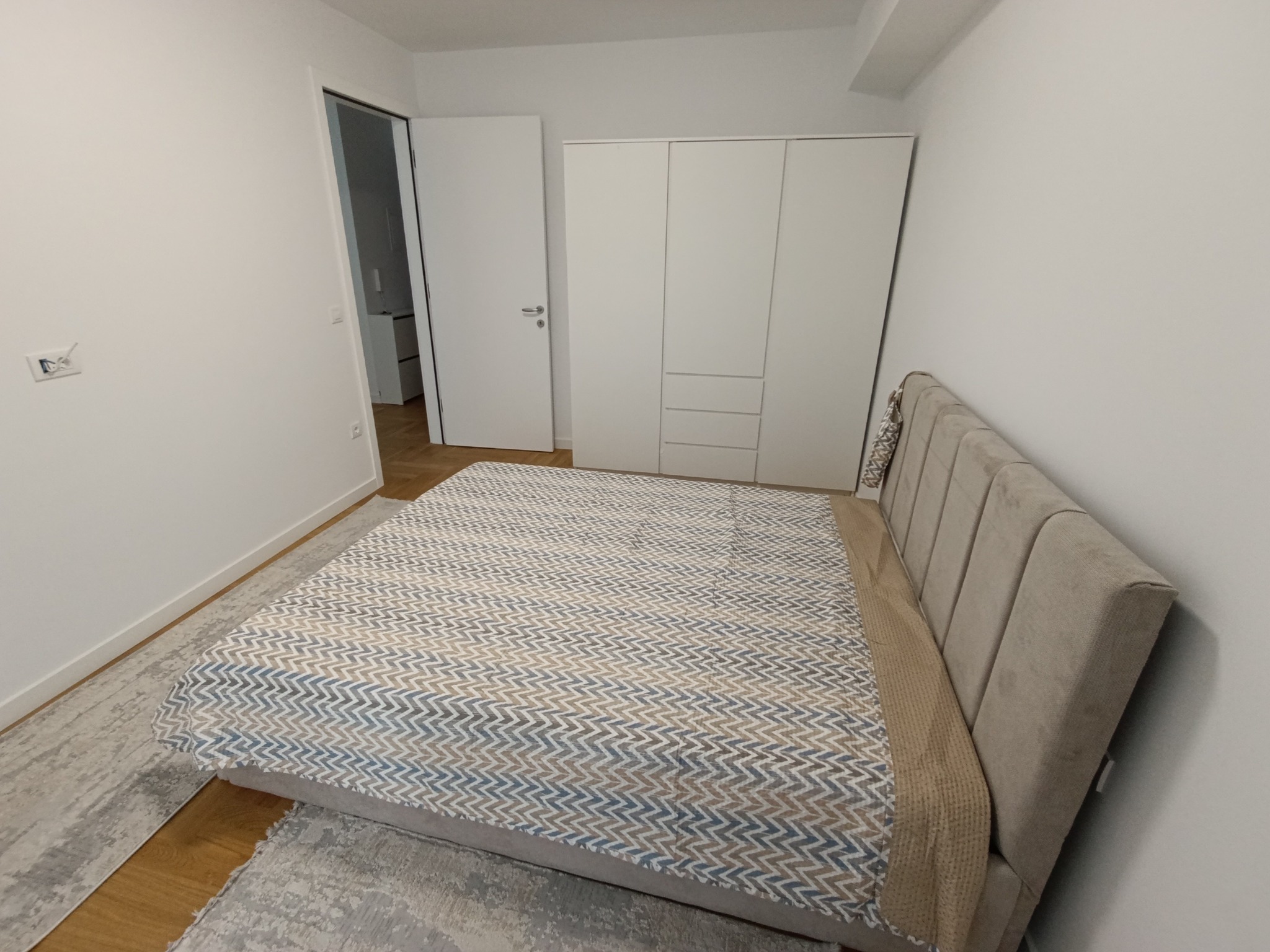 557597091 1986489152140676 8502626958722593593 n