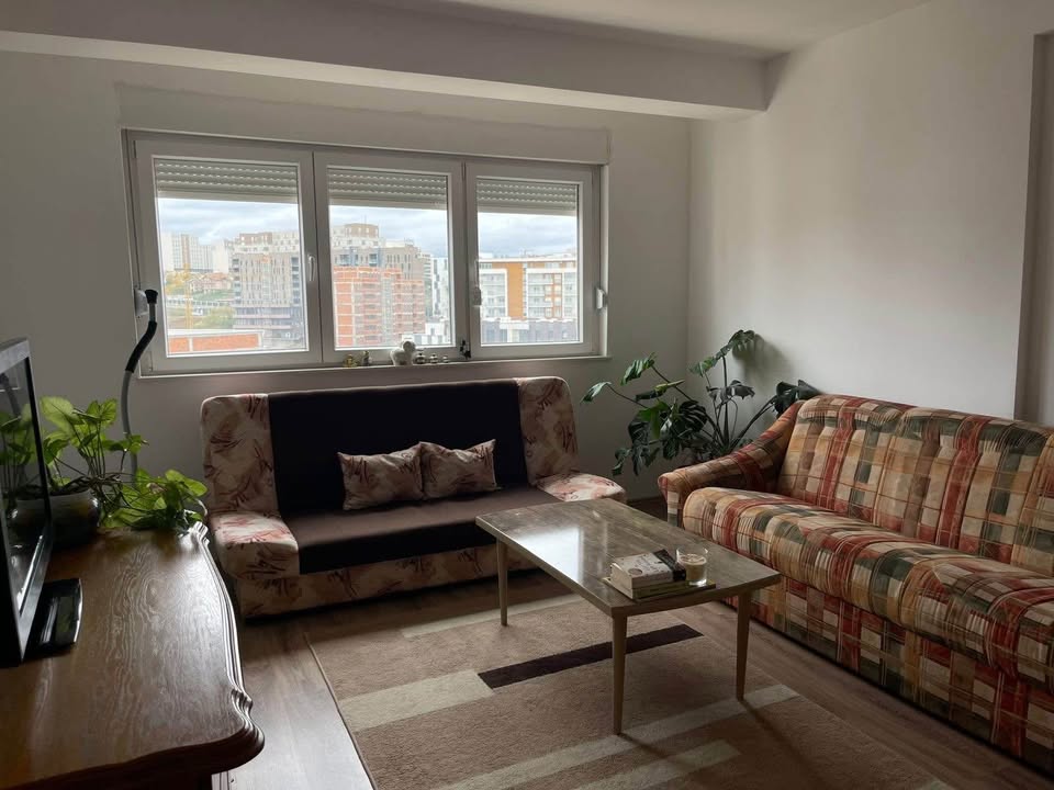 567431300 1301403378399429 4721209661543612083 n