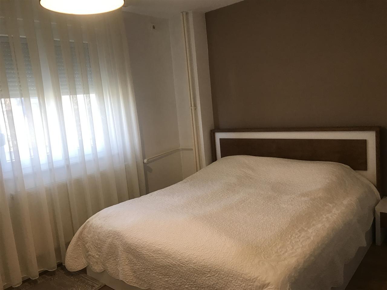 Shitje e baneses (5)