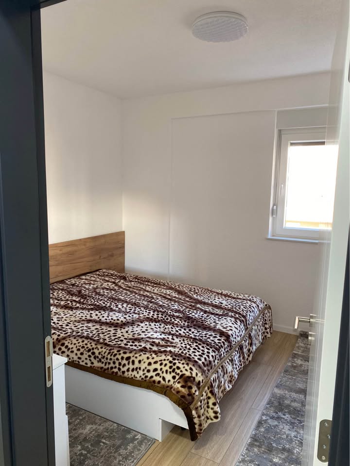 637186927 863265462804246 8073233406137480100 n