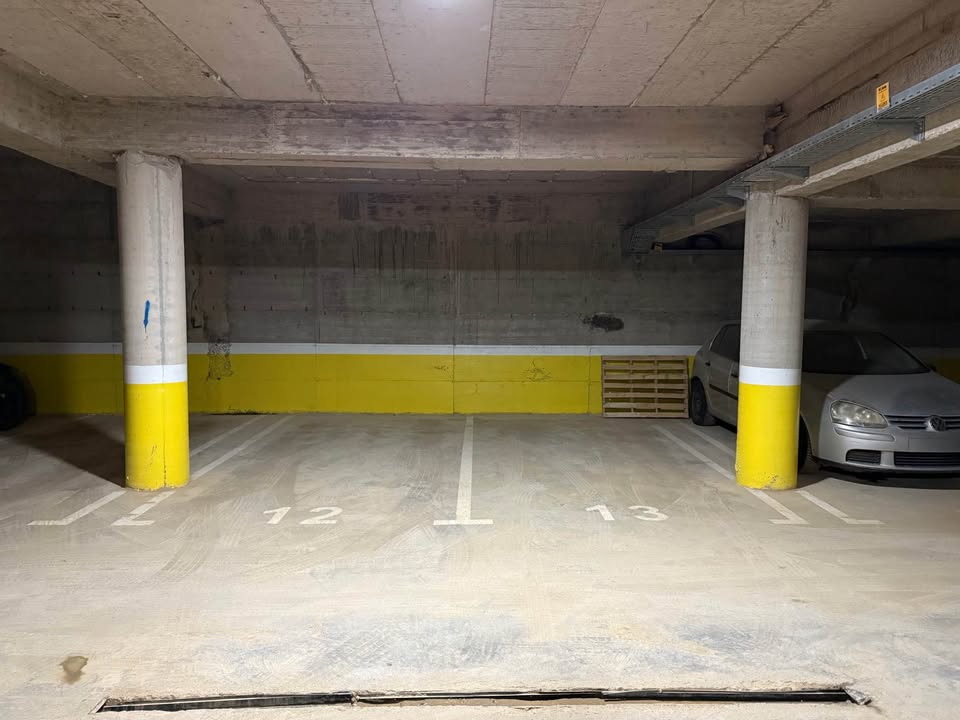 637779900 4246583555597605 3954222388638112485 n