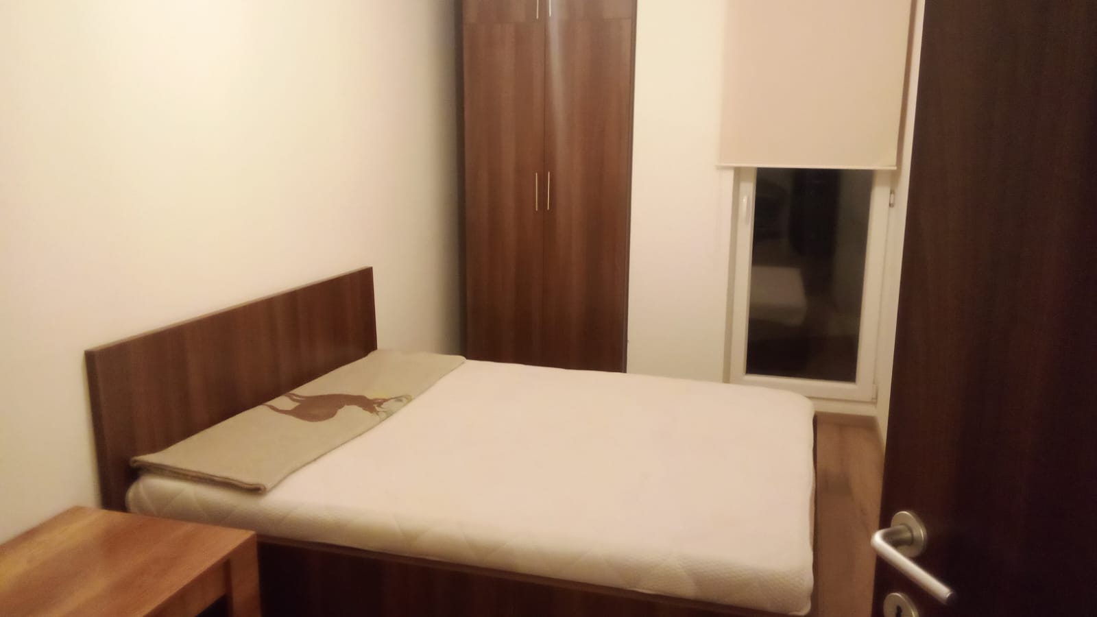 WhatsApp Image 2026 02 19 at 13.42.00