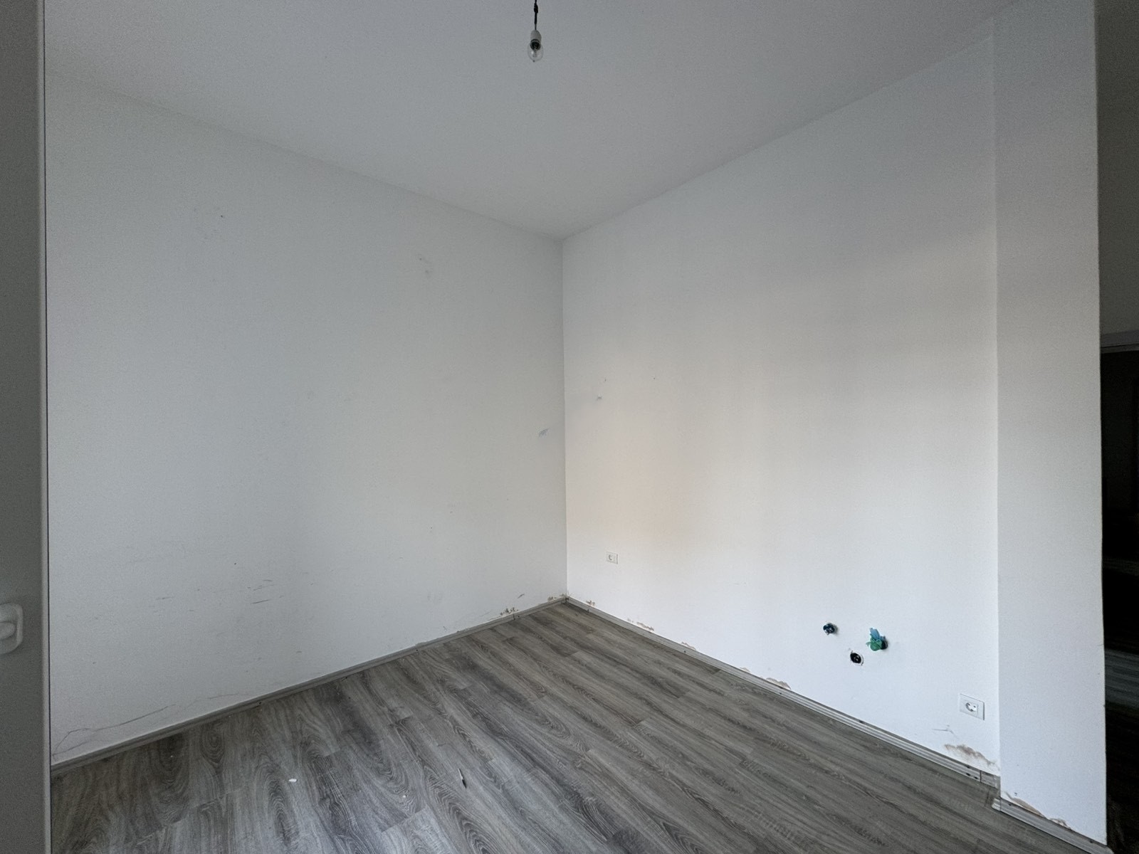 Viber image 2024 11 18 11 39 54