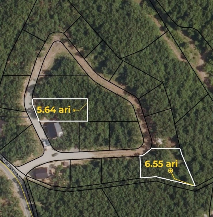 Viber image 2026 02 04 15 10 39