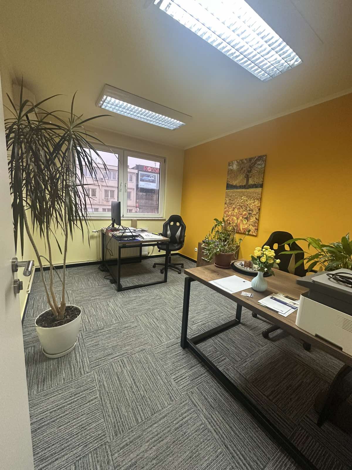 Viber image 2026 02 10 16 32 25