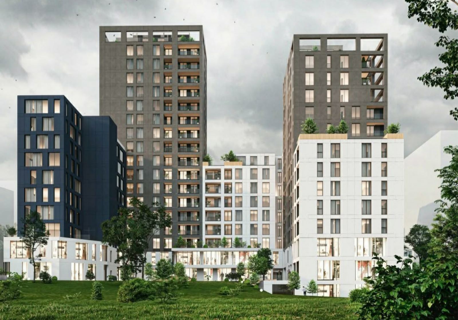 Viber image 2026 02 11 16 58 43