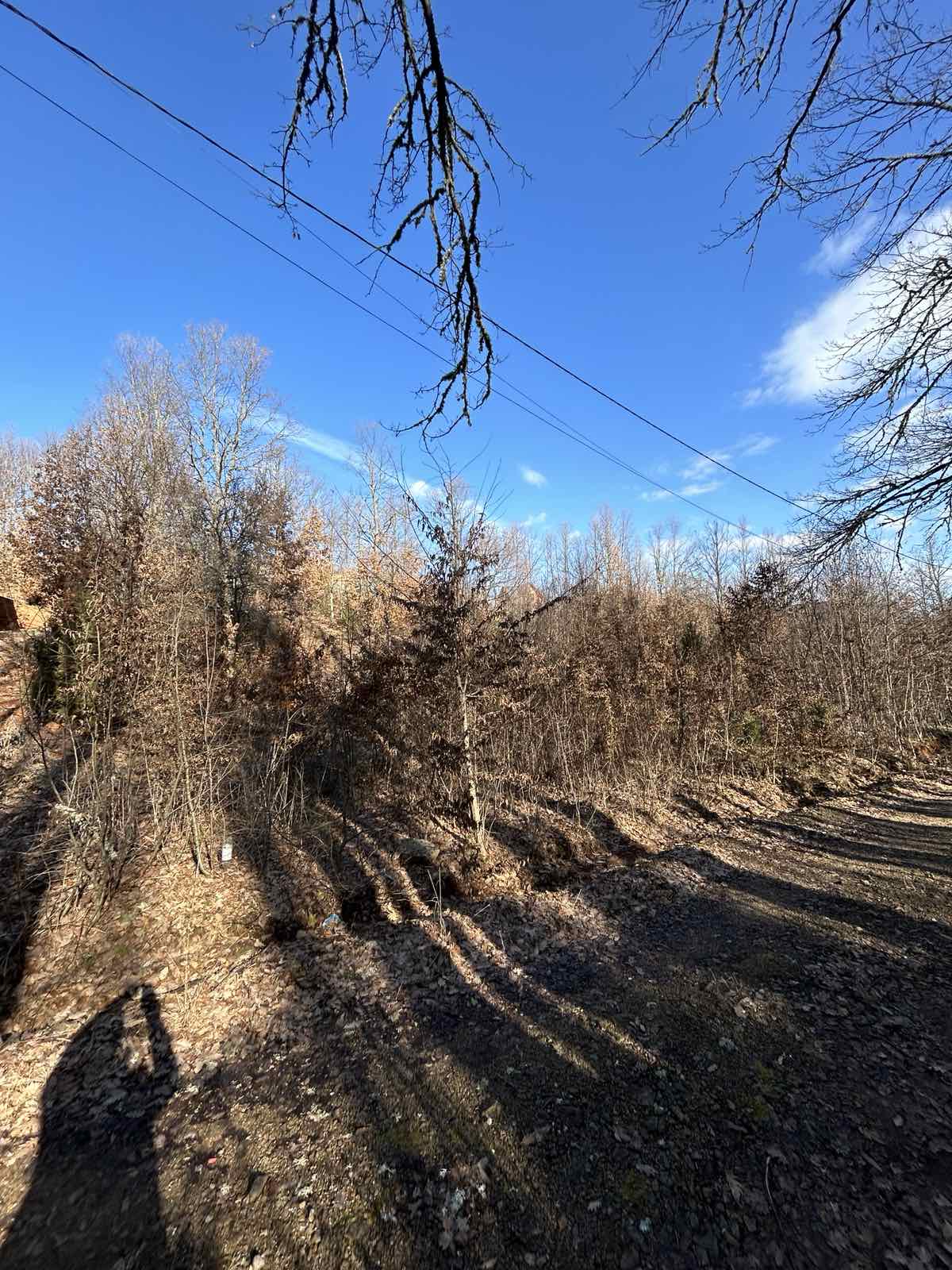 Viber image 2026 02 16 10 01 44